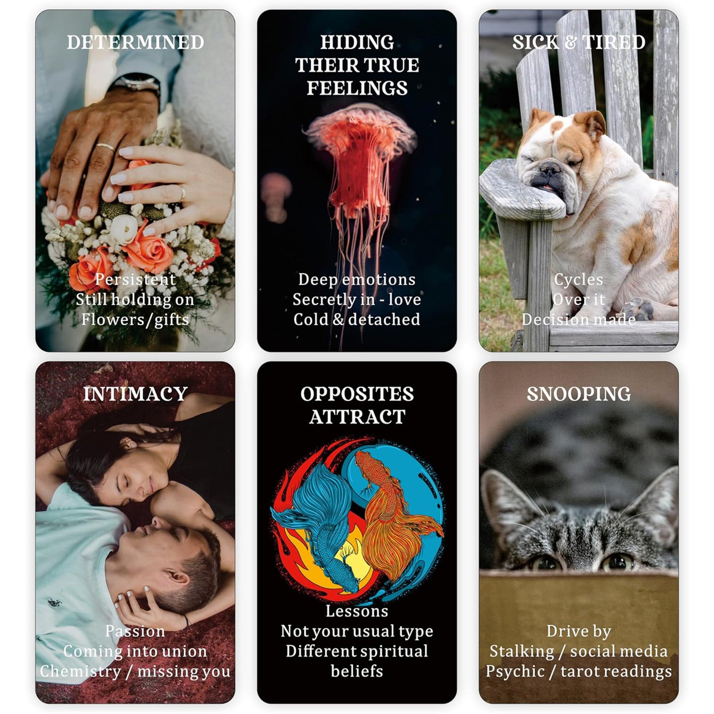 Broken Mirror Oracle: 55 Card Deck with keywords and messages