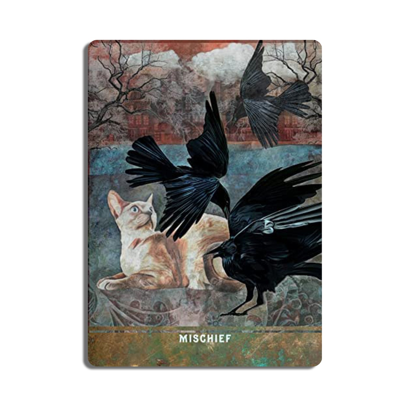 Urban Crow Oracle: 54 Oracle Cards & Guidebook