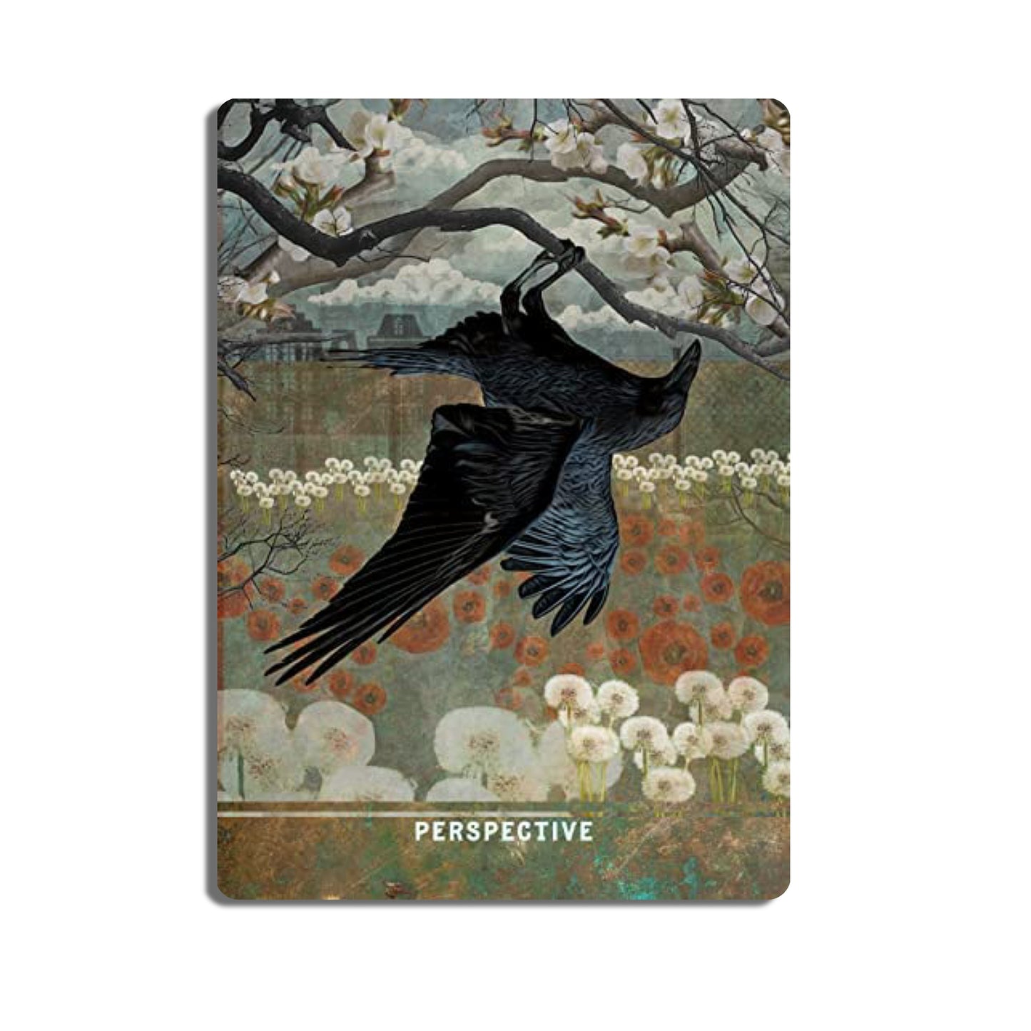 Urban Crow Oracle: 54 Oracle Cards & Guidebook