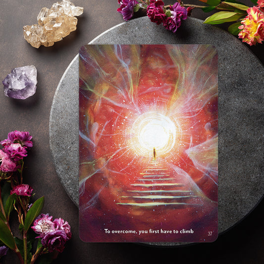 The Healing Spirits Oracle: 48 Oracle Cards & Guidebook