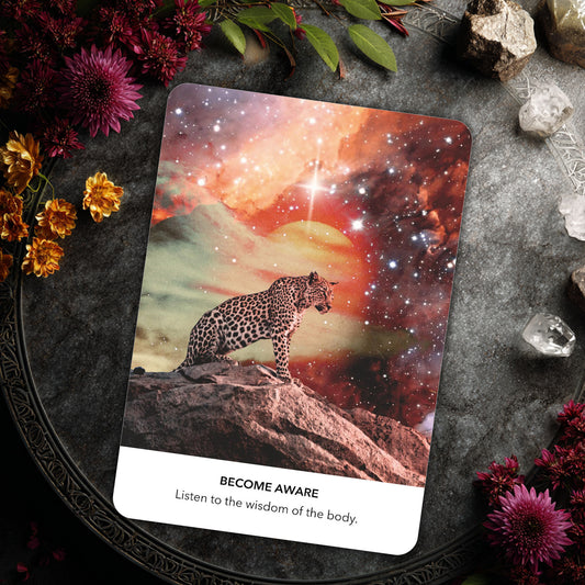 Inner Child Oracle: 44 Oracle Cards & Guidebook