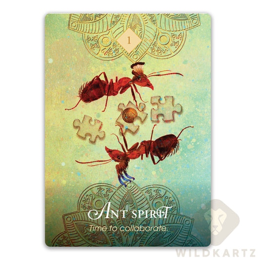 The Spirit Animal Oracle: 68 Oracle Cards & Guidebook