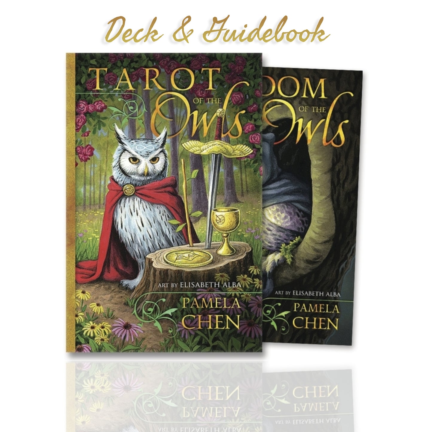 Tarot of the Owls: 78 Tarot Cards and Guidebook
