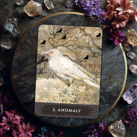 Urban Crow Oracle & Guidebook - Wisdom, Omens and Animal Spirit Guidance