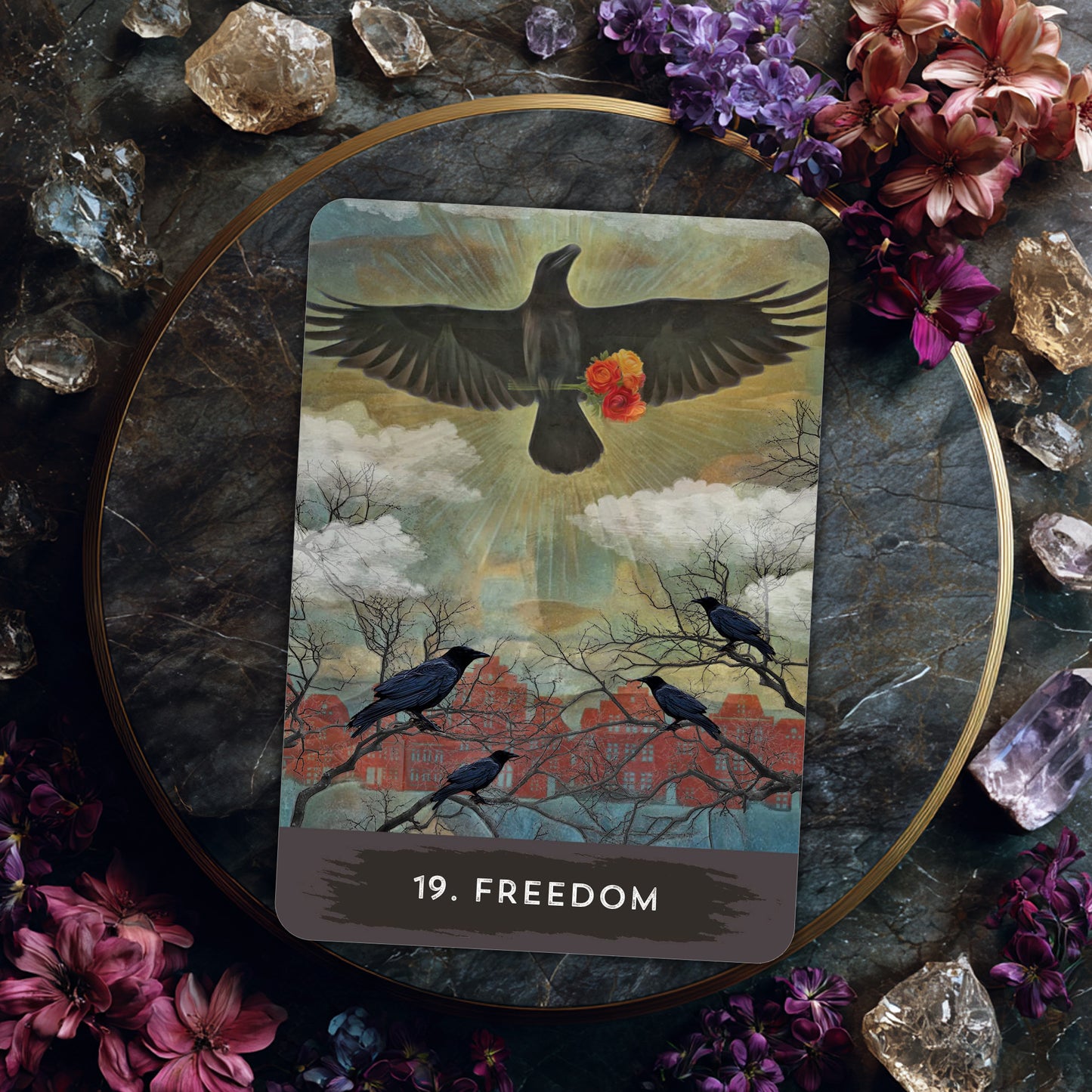 Urban Crow Oracle & Guidebook - Wisdom, Omens and Animal Spirit Guidance