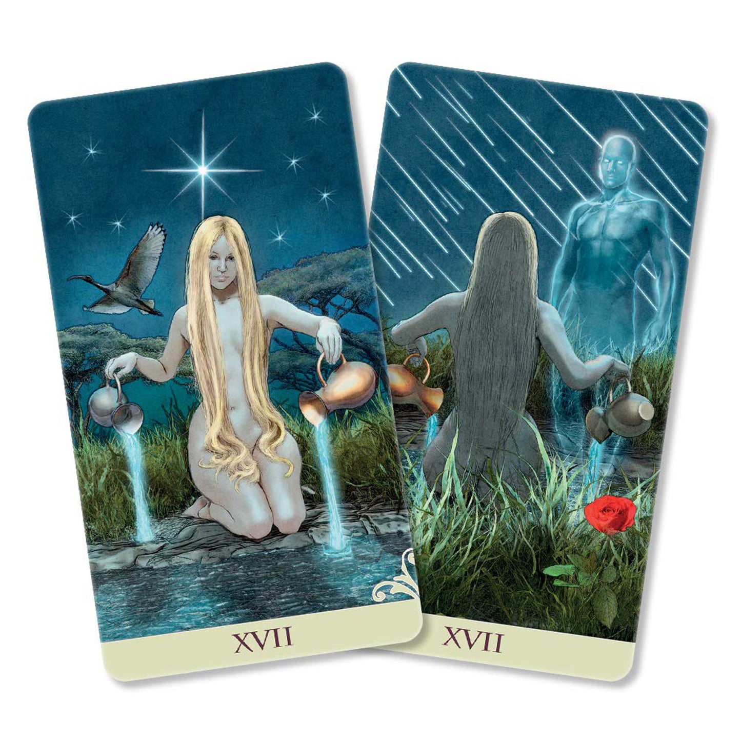 Viceversa Tarot: 78 Tarot Card Deck & Guidebook