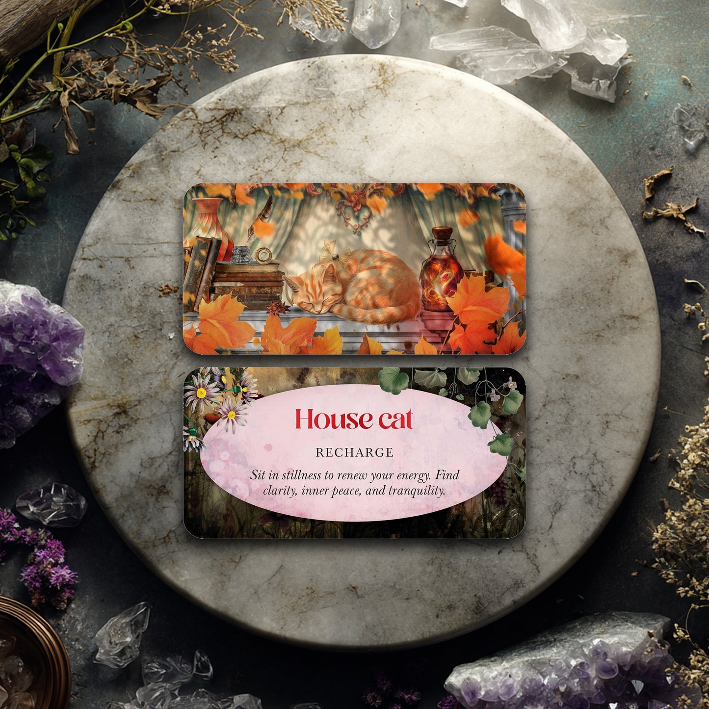 Animal Guides Mini Oracle Deck – 40 Cards With Insightful Messages