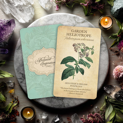 Botanical Inspirations Deck & Book Set