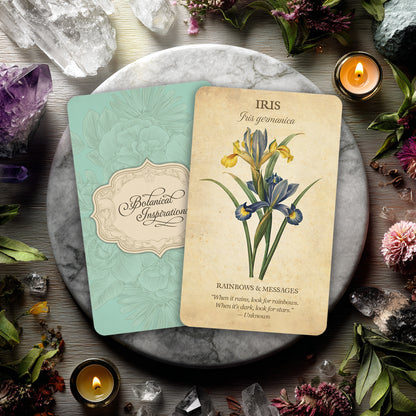 Botanical Inspirations Deck & Book Set