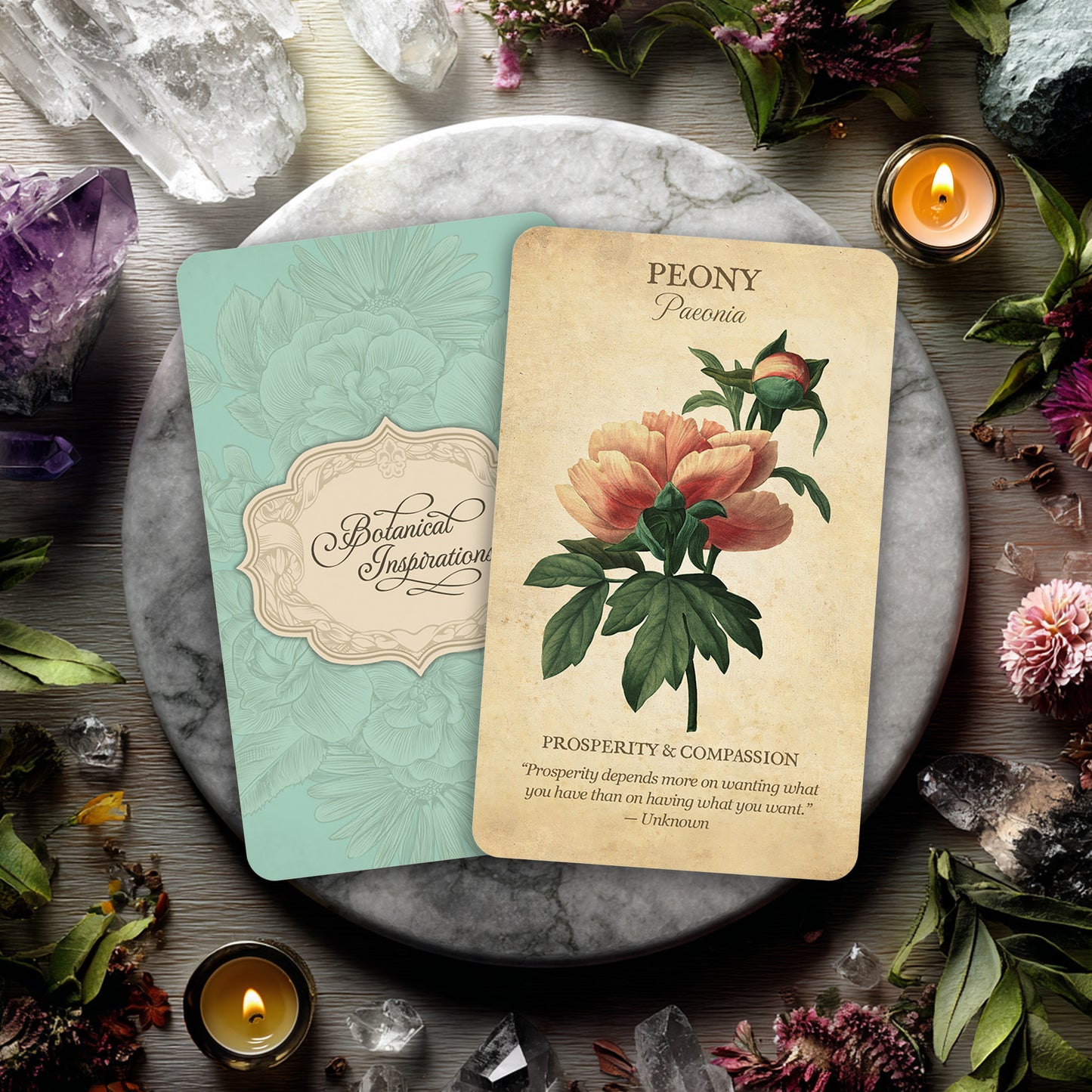 Botanical Inspirations Deck & Book Set