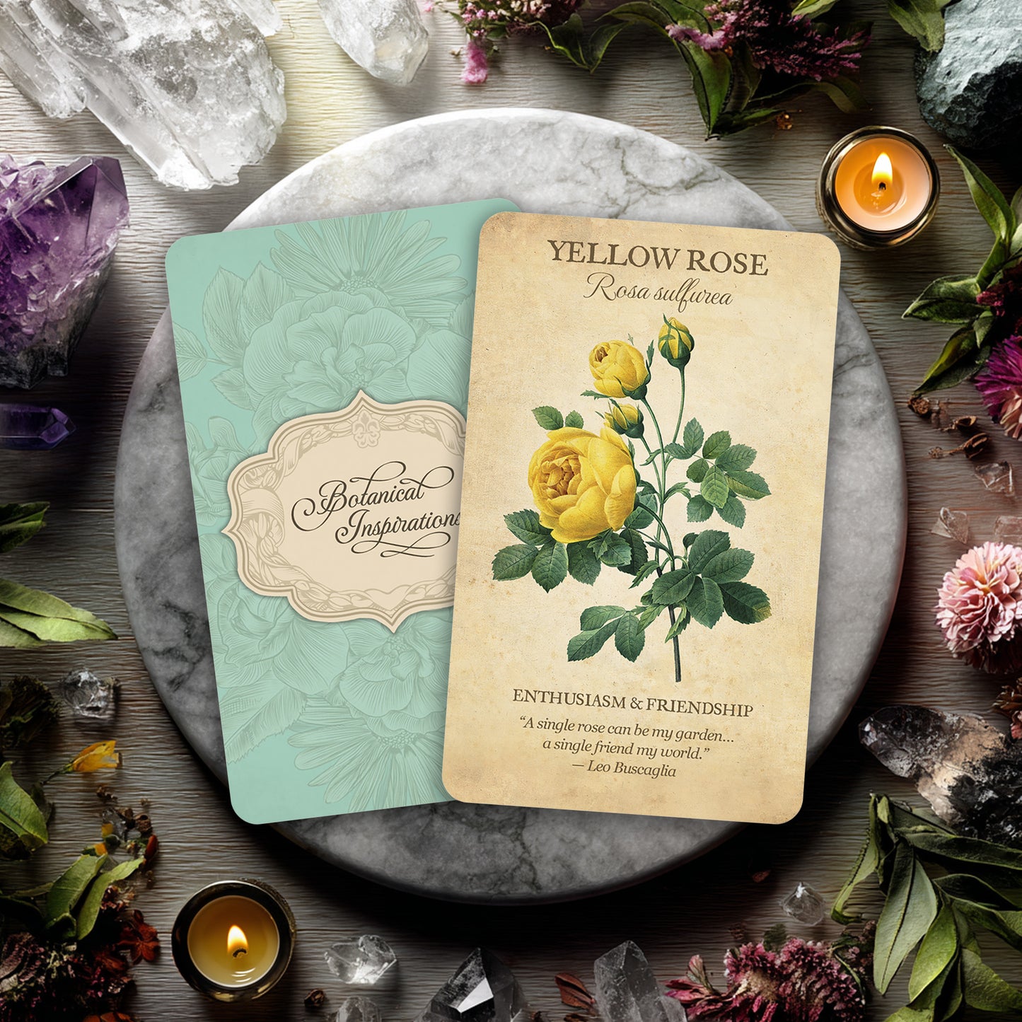 Botanical Inspirations Deck & Book Set