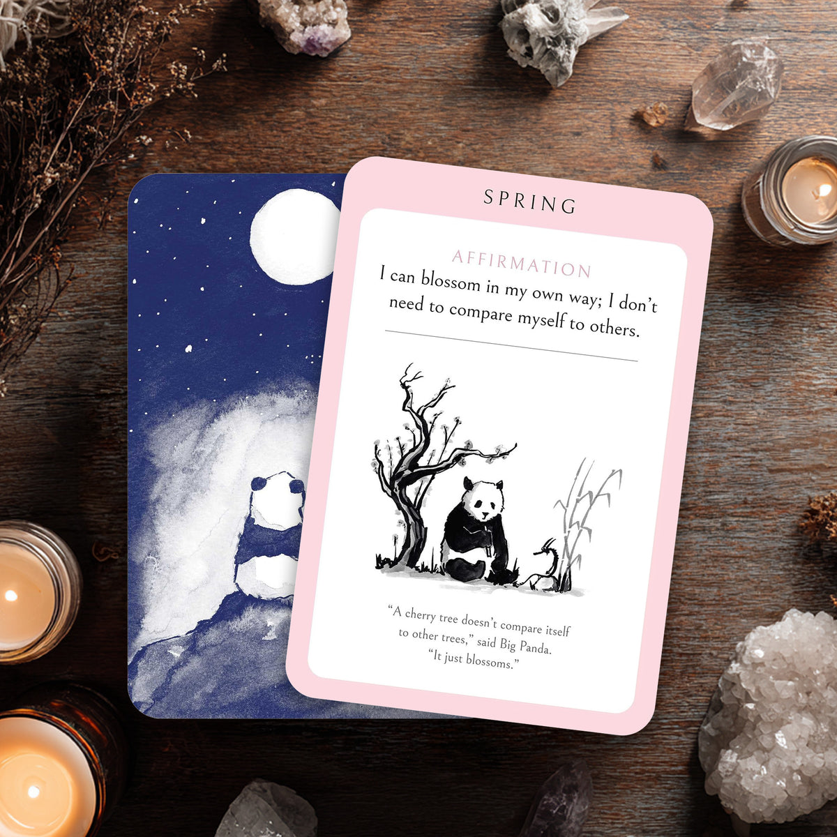 Big Panda and Tiny Dragon Affirmation Cards