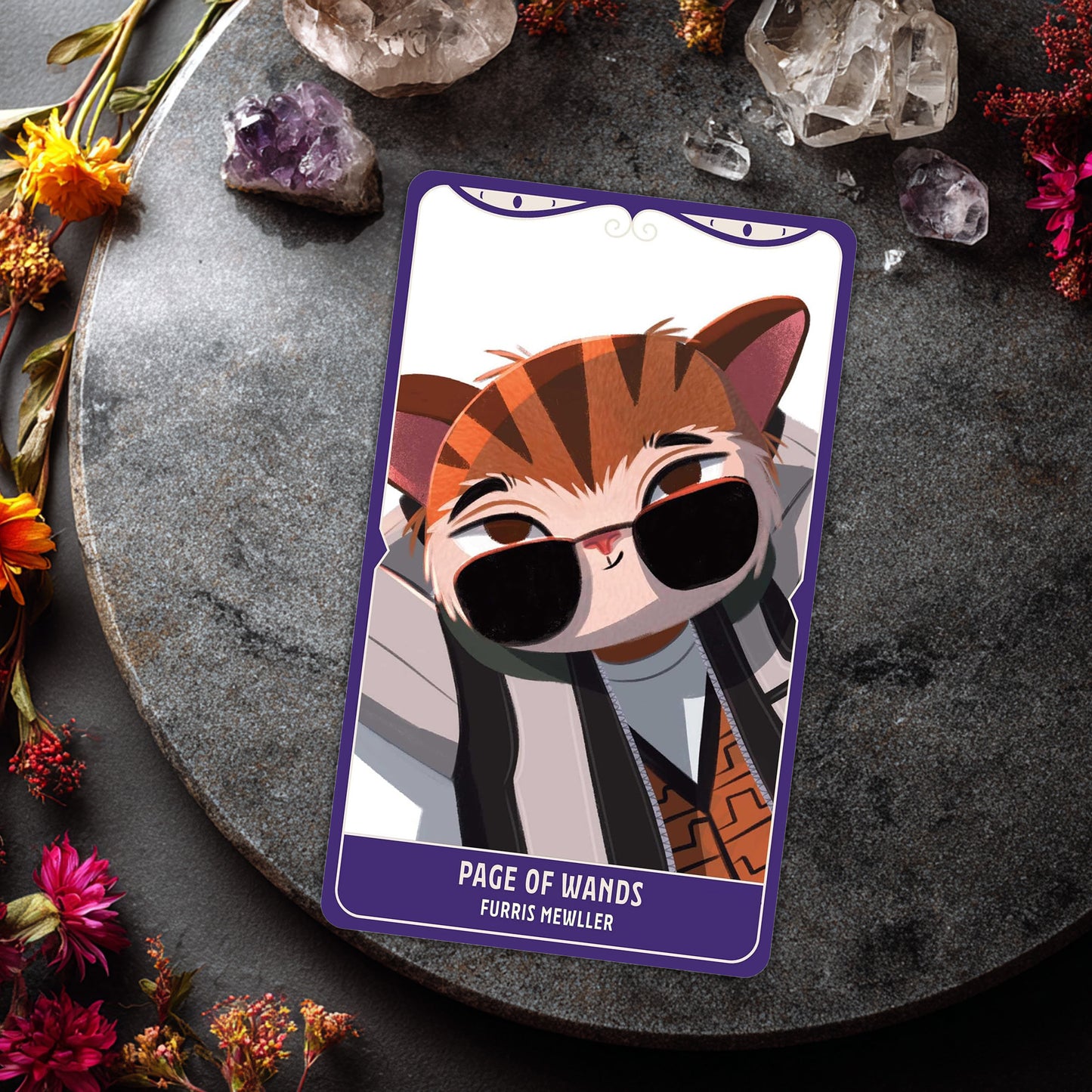 Cosplay Cats Tarot Deck and Guidebook