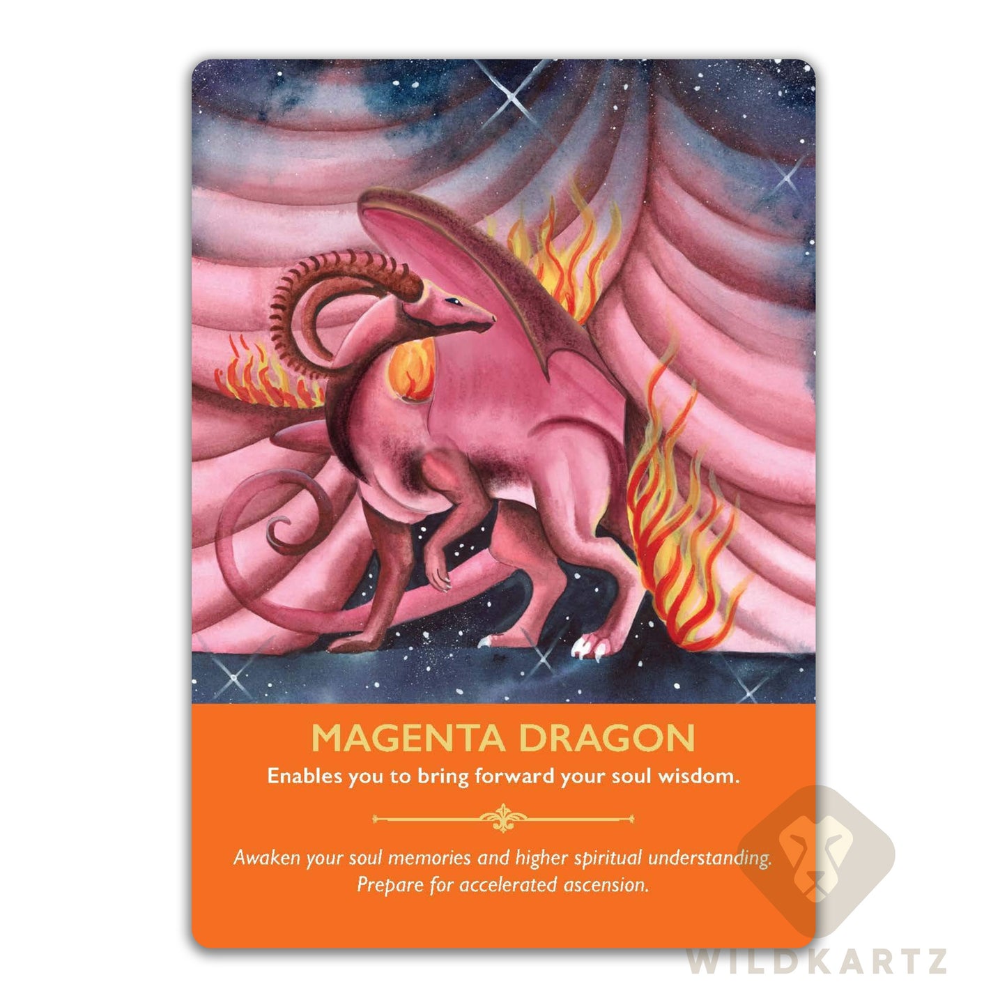 Dragon Oracle Deck: 44 Oracle Cards and Guidebook