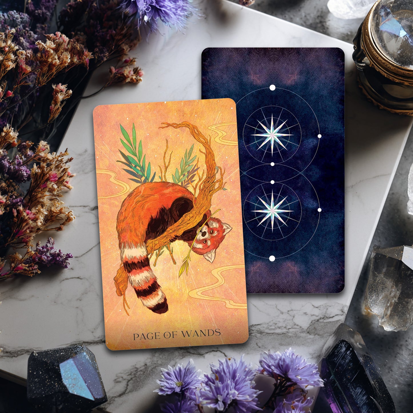 Oriens Animal Tarot Pocket Edition: 78 tarot card deck and guidebook