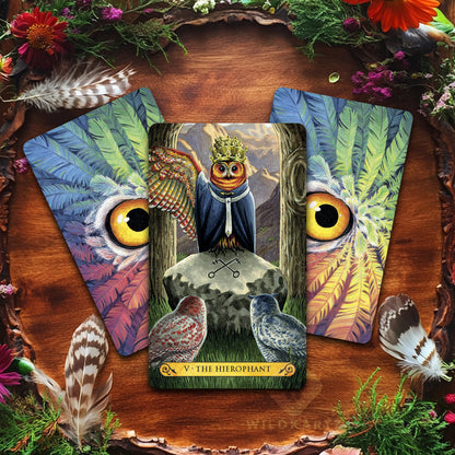 Tarot of the Owls: 78 Tarot Cards and Guidebook