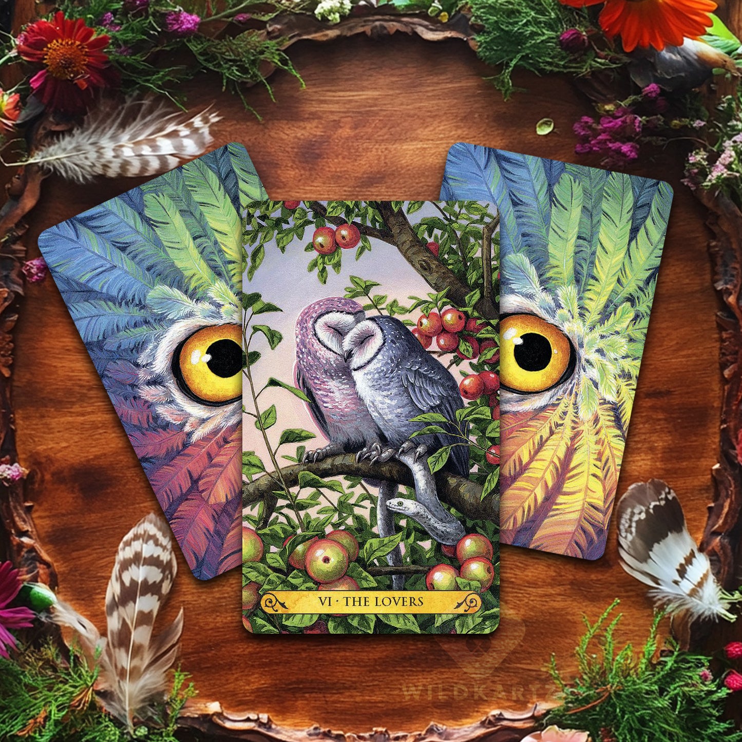 Tarot of the Owls: 78 Tarot Cards and Guidebook