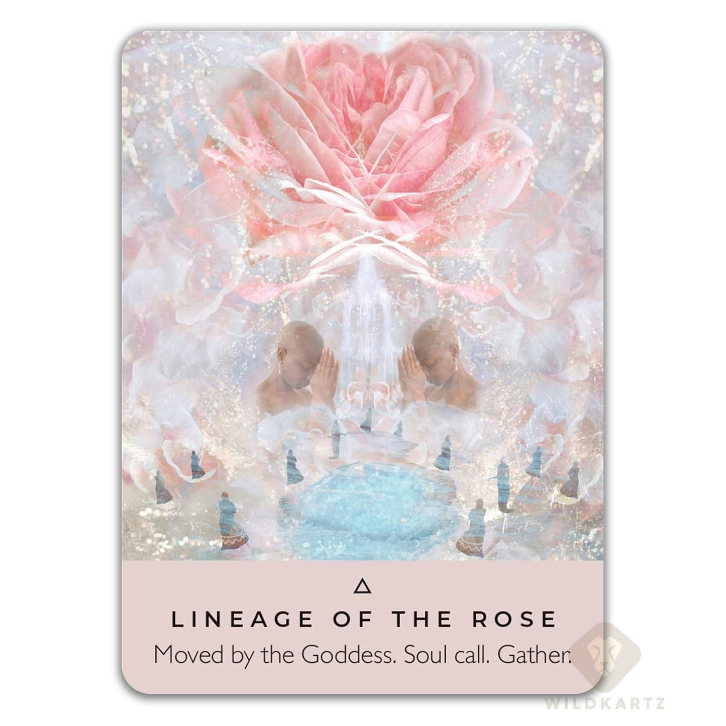 The Rose Pocket Oracle: 44 Oracle Card Deck and Guidebook