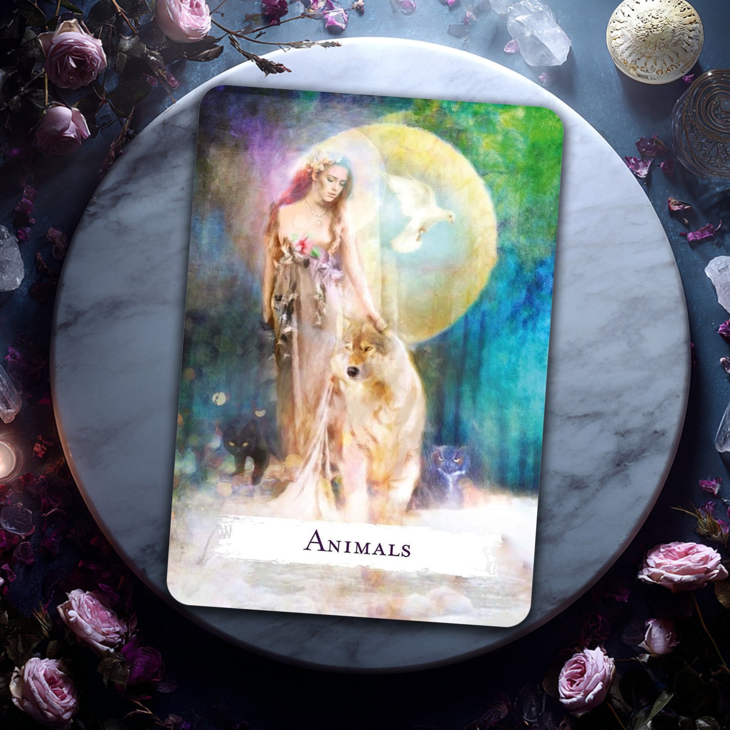 Spellcasting Oracle Cards: A 48 Card Deck & Guidebook