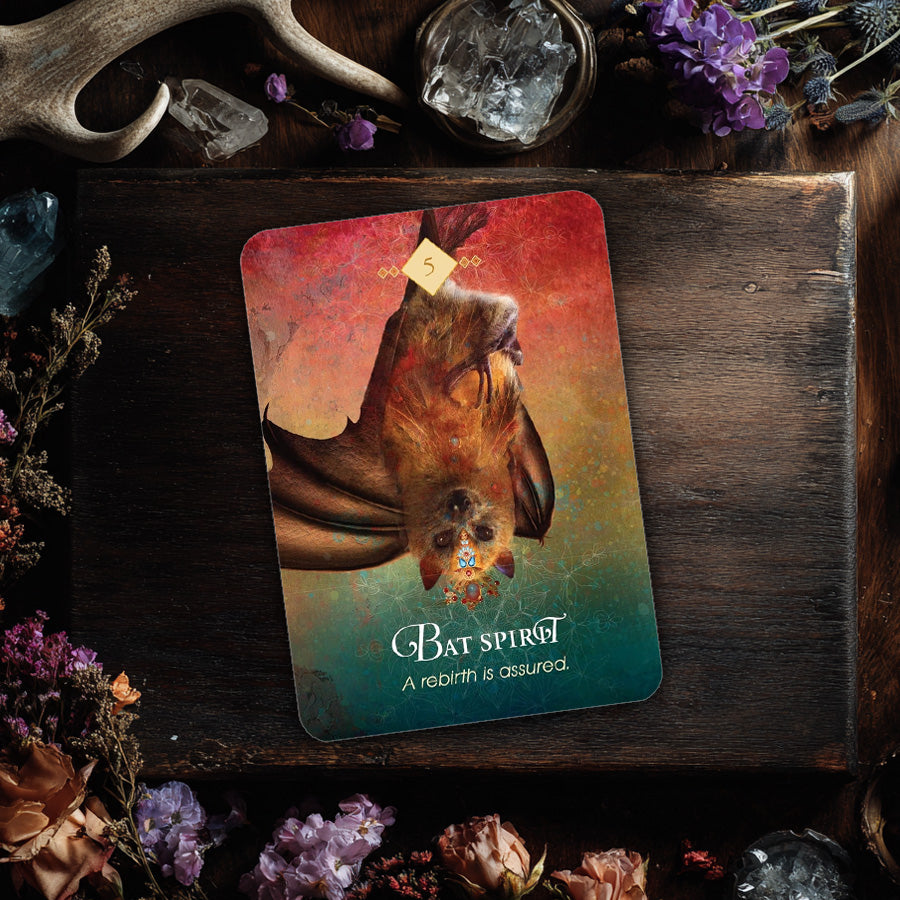 The Spirit Animal Pocket Oracle: 68 Pocket Sized Oracle Cards & Guidebook