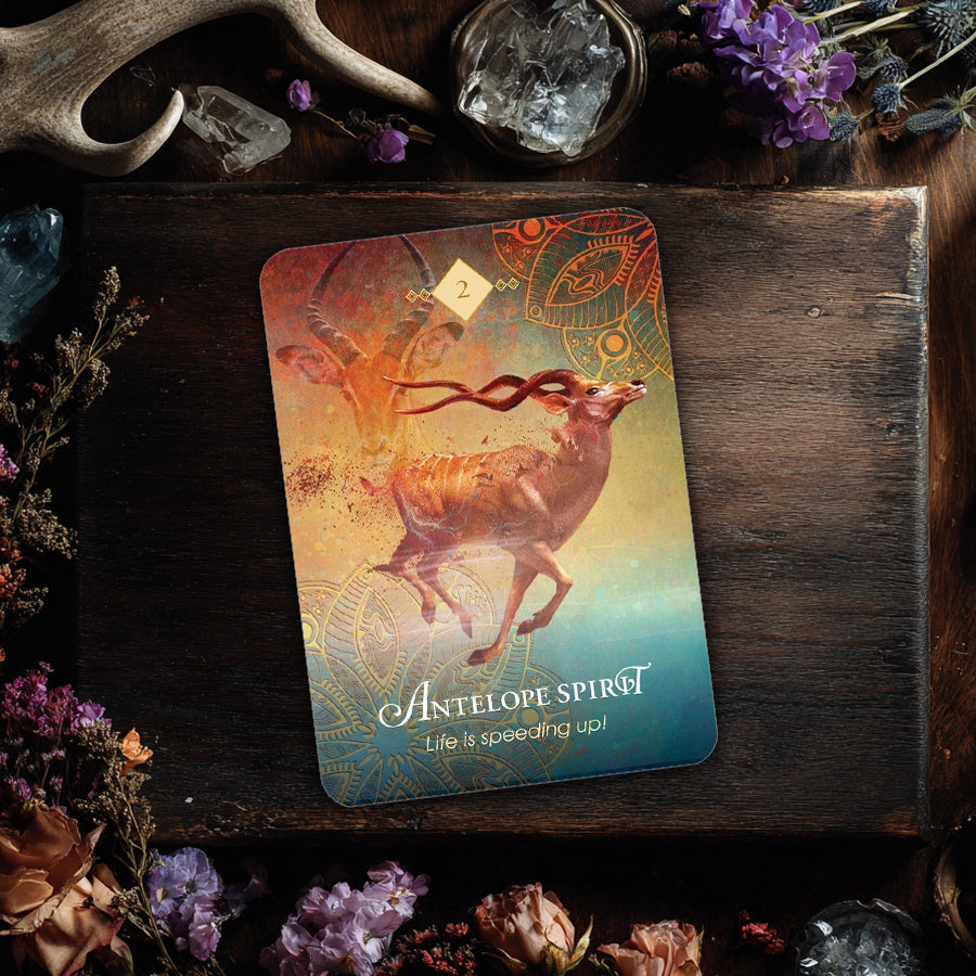 The Spirit Animal Pocket Oracle: 68 Pocket Sized Oracle Cards & Guidebook