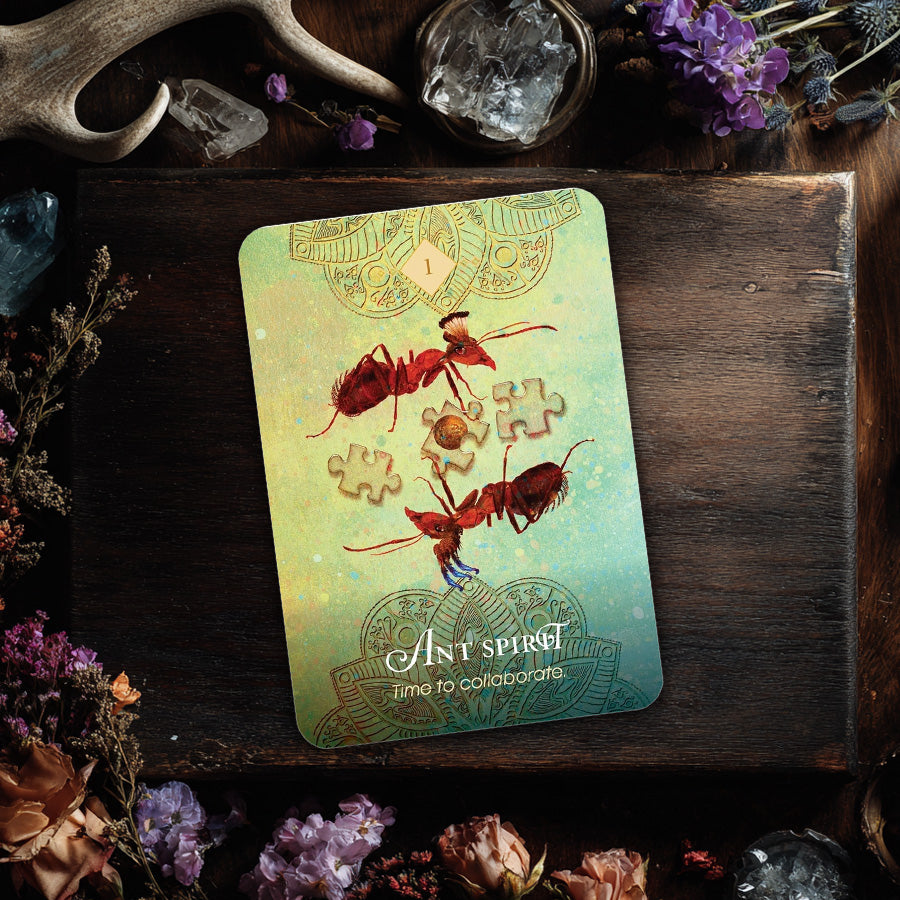 The Spirit Animal Pocket Oracle: 68 Pocket Sized Oracle Cards & Guidebook