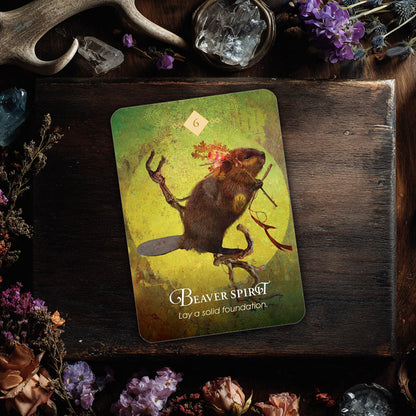 The Spirit Animal Oracle: 68 Oracle Cards & Guidebook