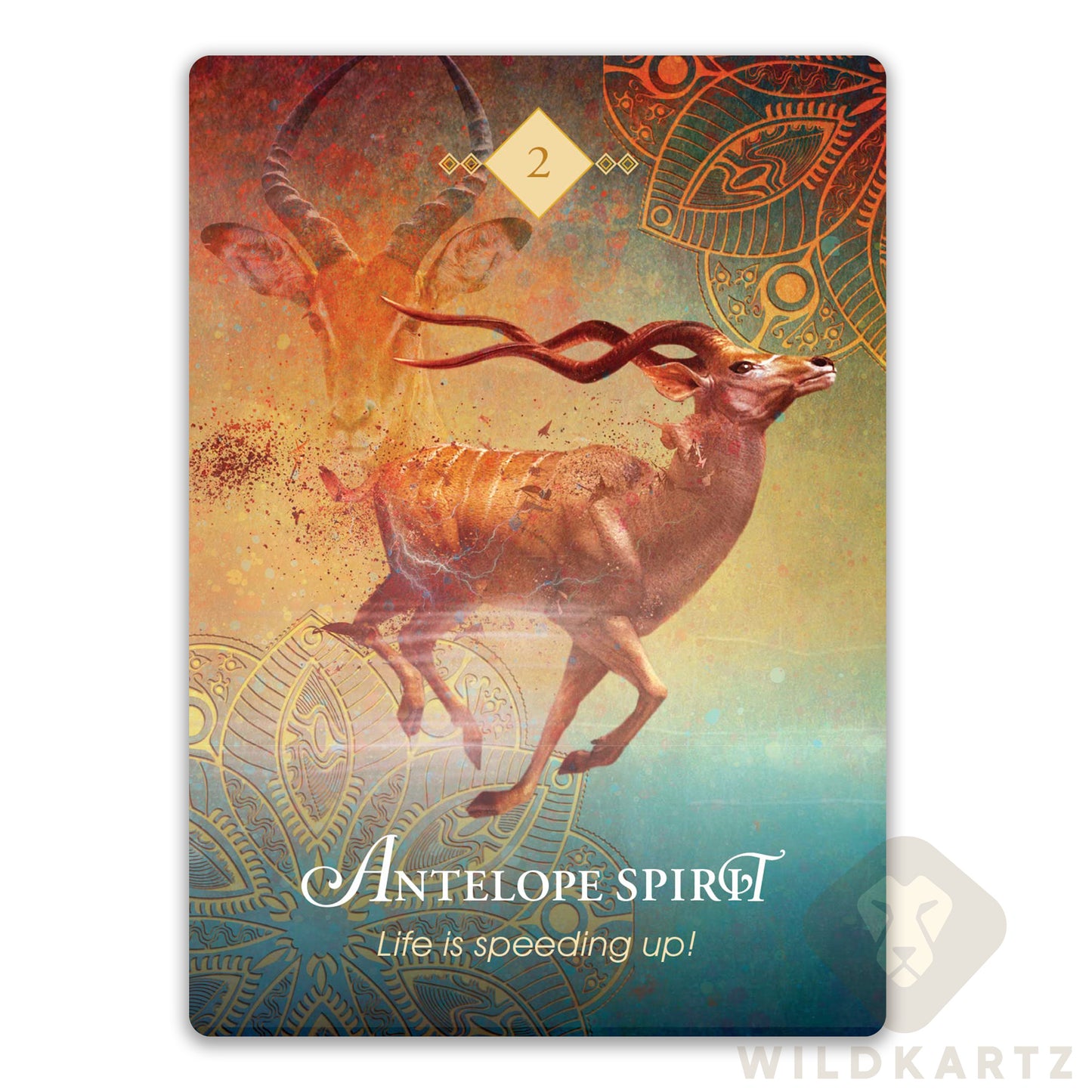 The Spirit Animal Oracle: (Standard or Pocket Sized) 68 Oracle Cards & Guidebook