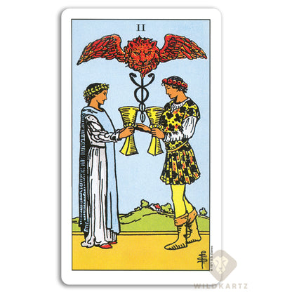 Rider Waite Tarot Edicion Español y librito de guia