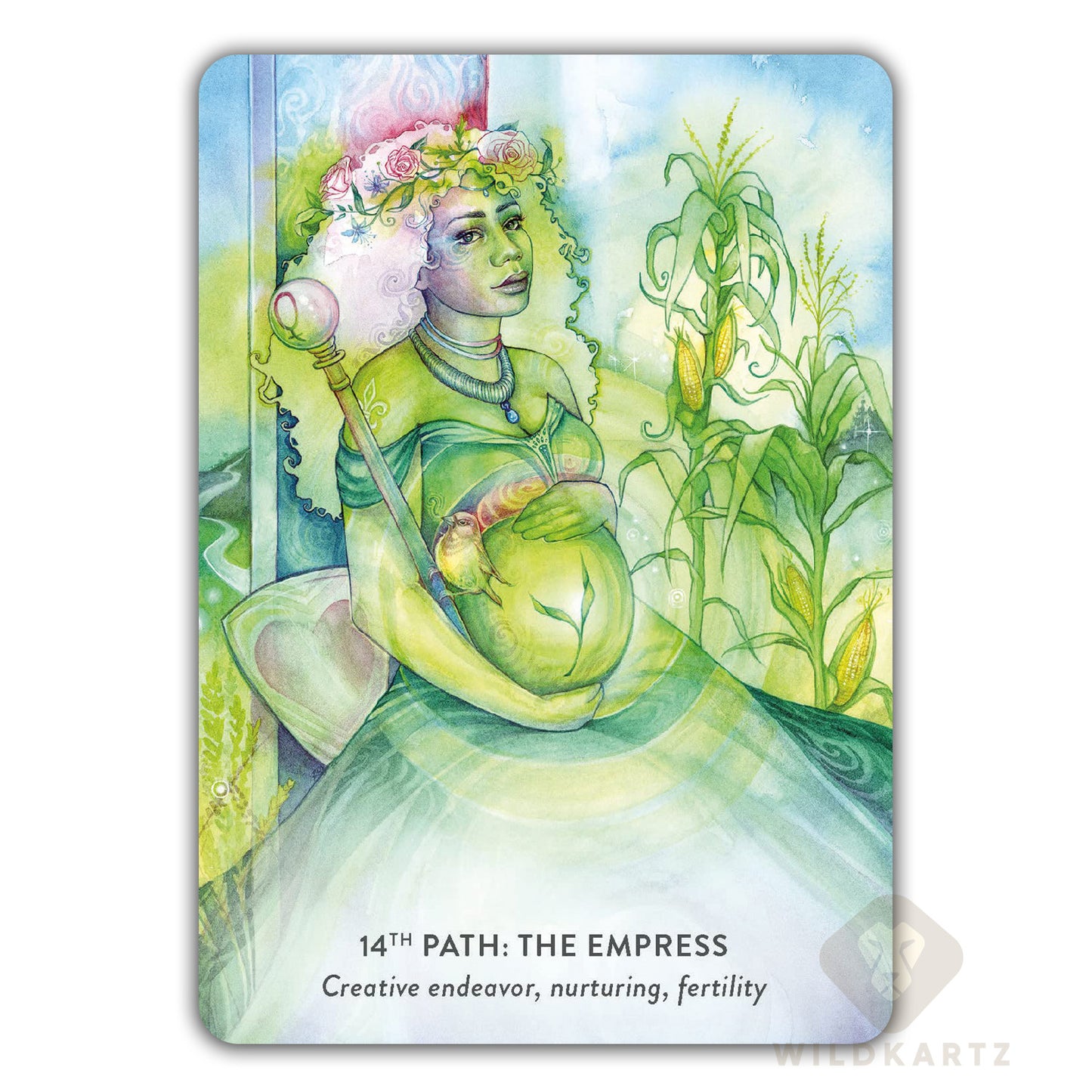 The Tree of Life Oracle: 44 Oracle Card Deck and Guidebook