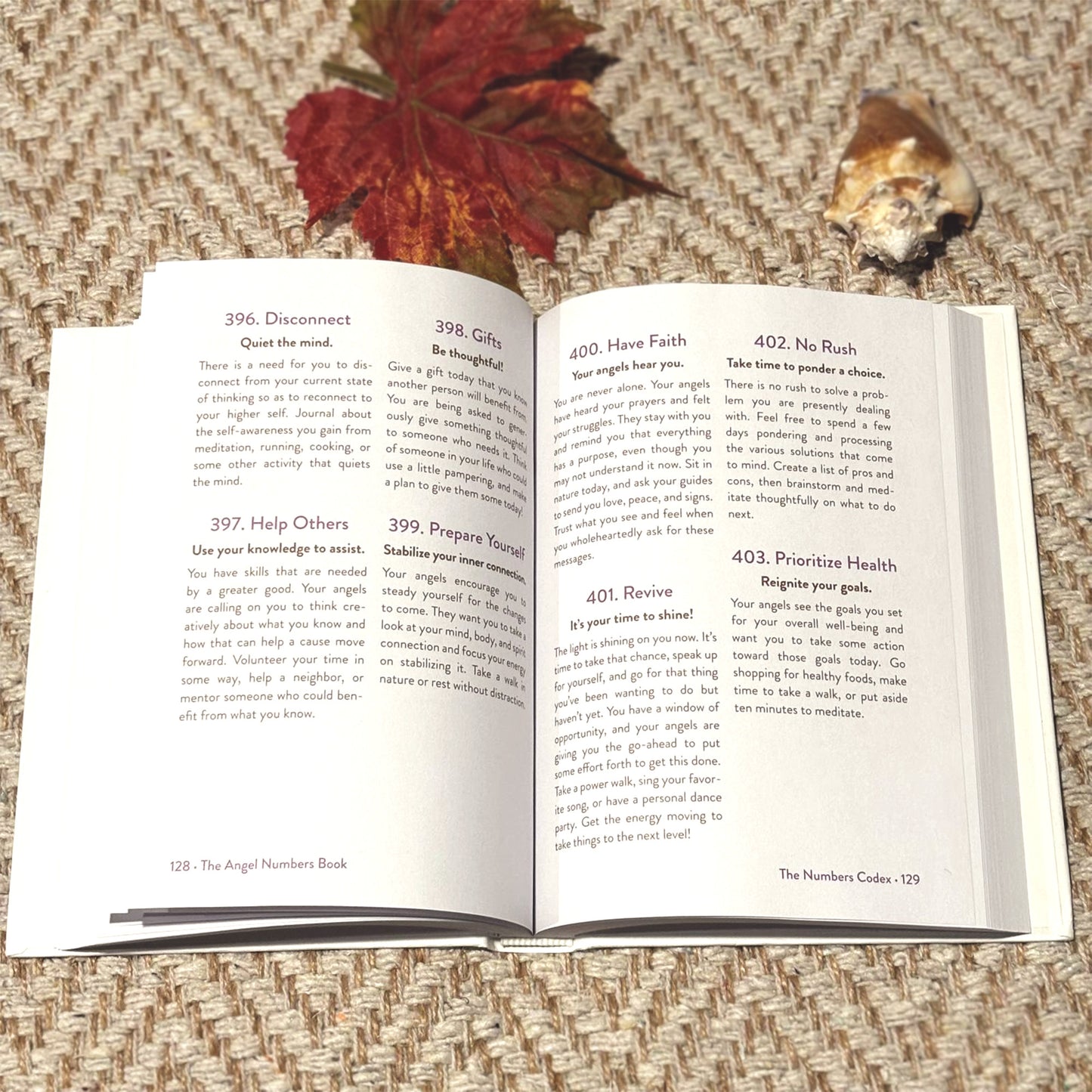 The Angel Numbers Book: How to Understand the Messages Your Spirit Guides Are Sending You