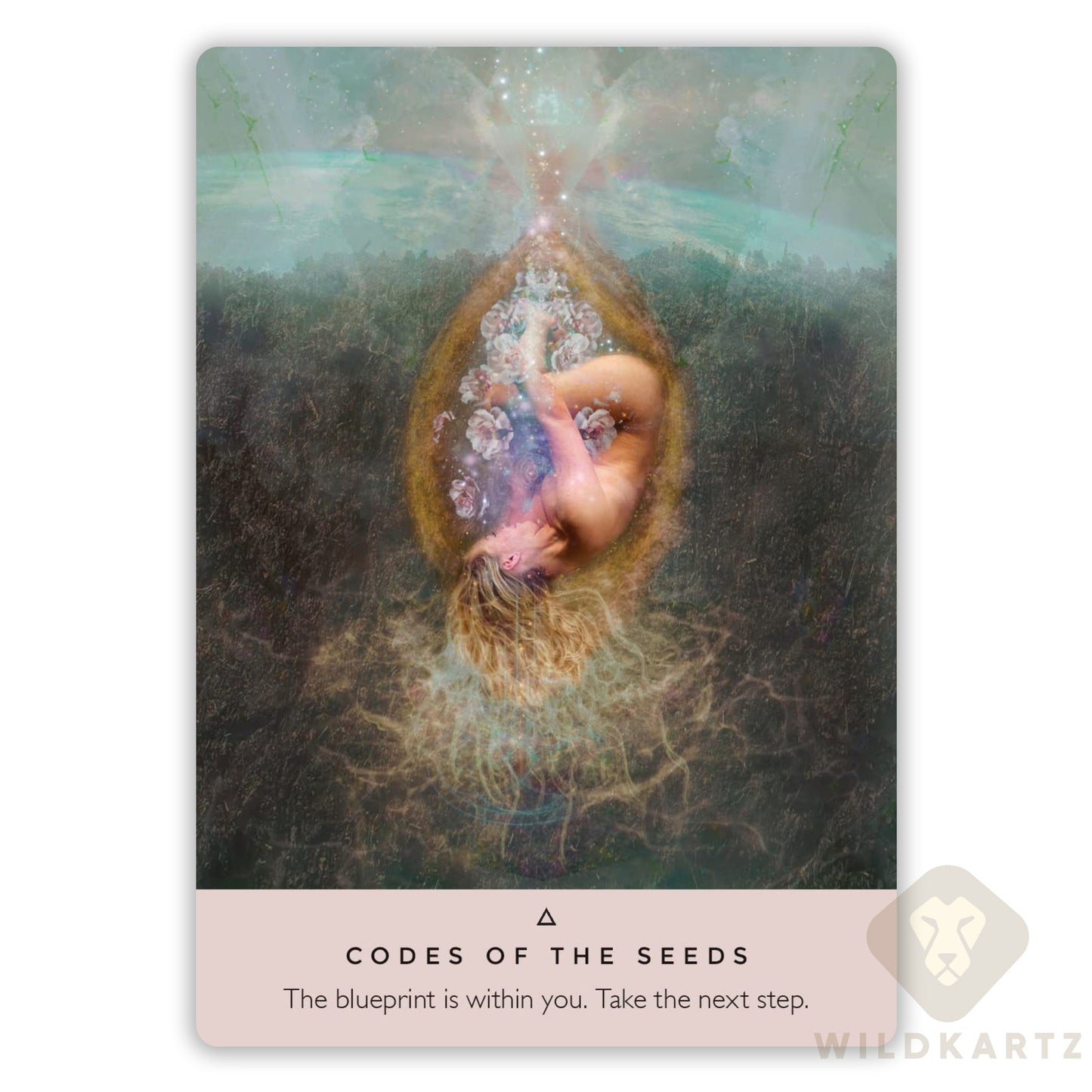 The Rose Oracle Deck: 44 Beautiful Oracle Cards & Guidebook