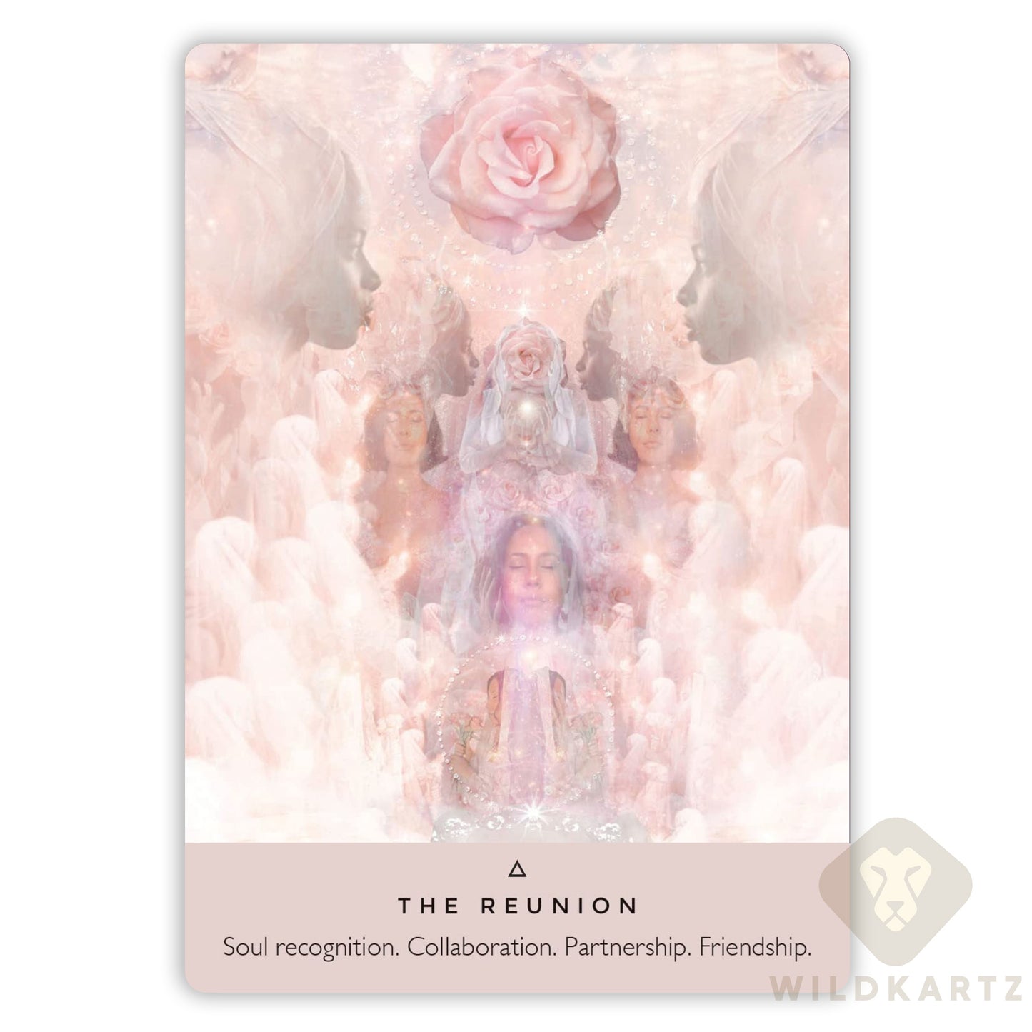 The Rose Oracle Deck: 44 Beautiful Oracle Cards & Guidebook