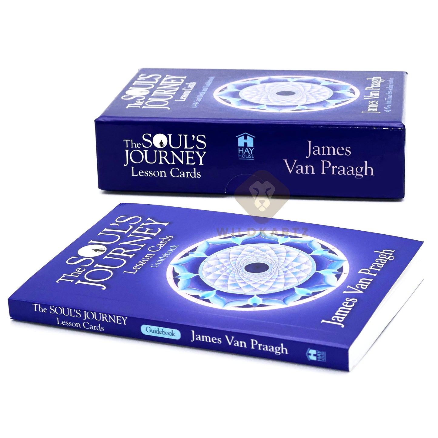 The Soul's Journey Lesson Cards: 44 Oracle Cards and Guidebook