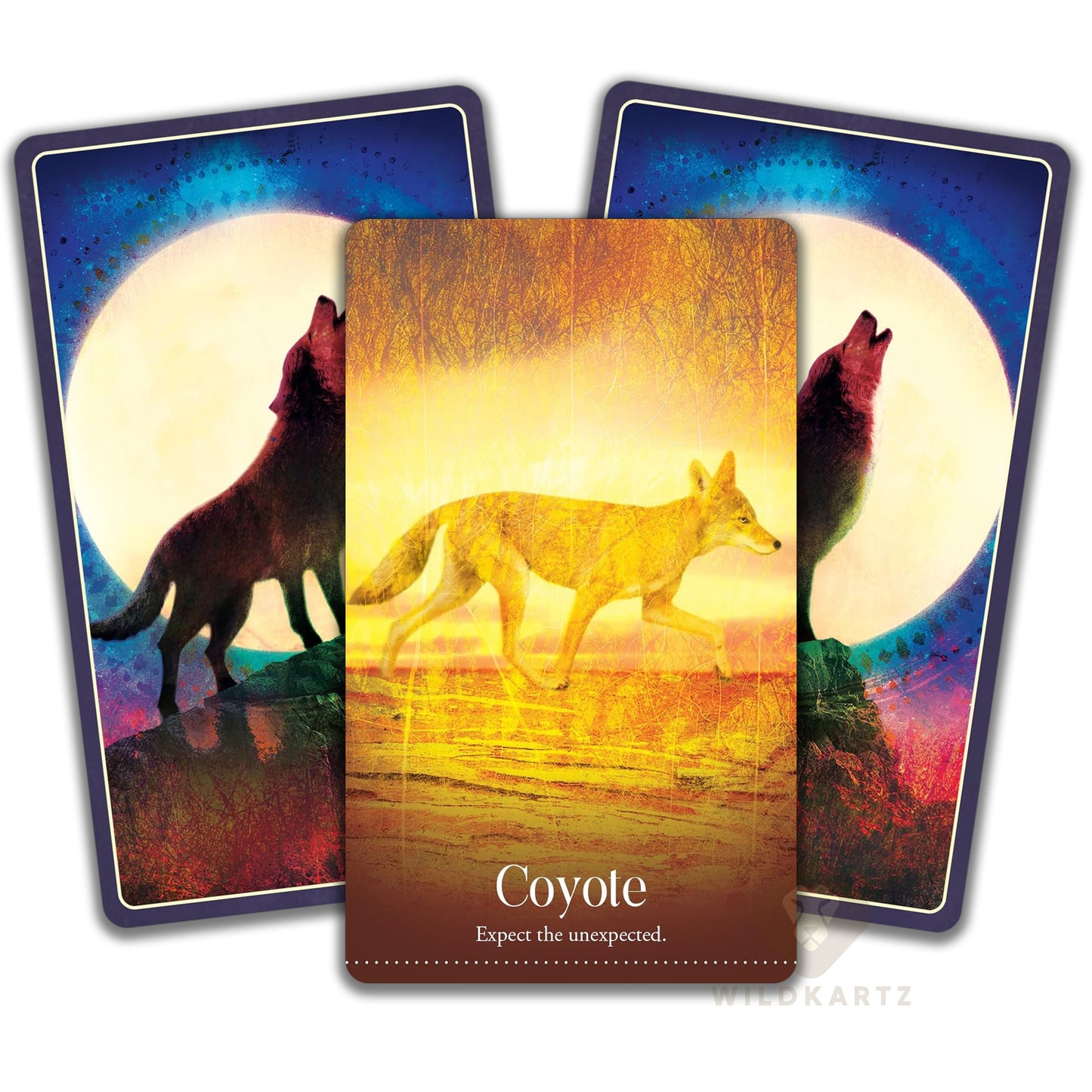 Wild Dreams Animal Oracle: 44 Oracle Card Deck & Guidebook