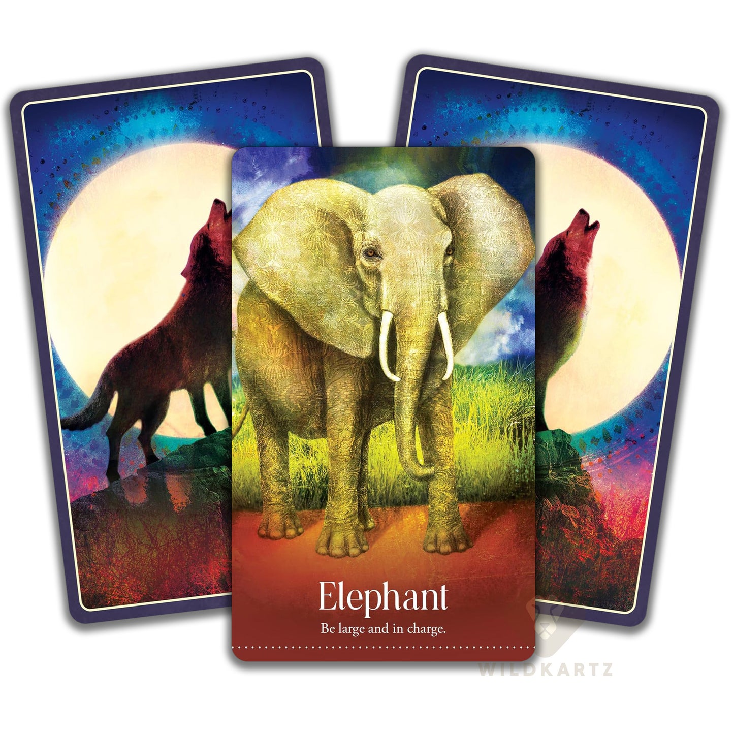 Wild Dreams Animal Oracle: 44 Oracle Card Deck & Guidebook