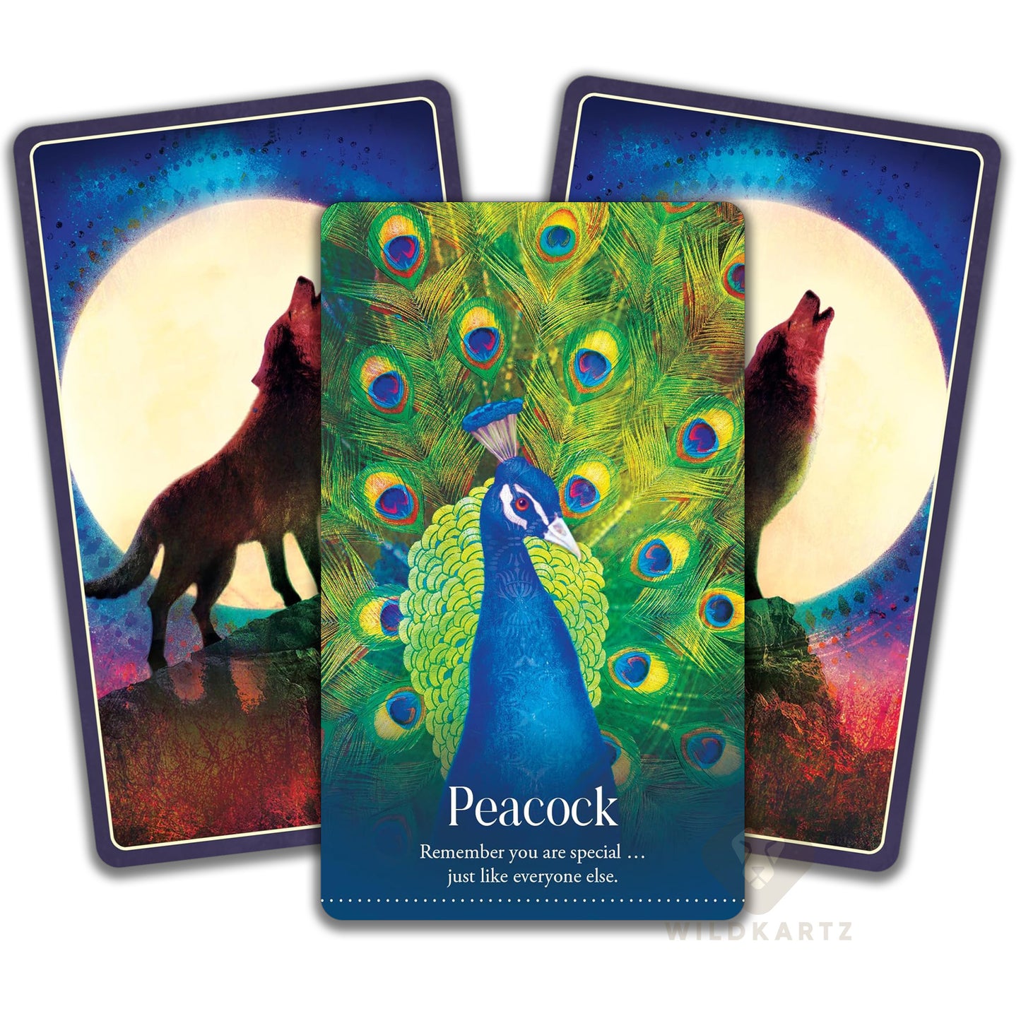 Wild Dreams Animal Oracle: 44 Oracle Card Deck & Guidebook